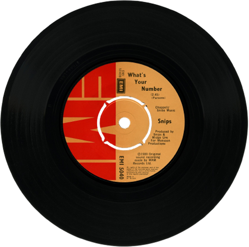 Vinyl Record